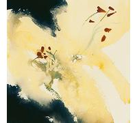 David Ross Lilium Candidum su Tela, 40 x 40 cm, Motivo: Impronte, Colore: Multicolore