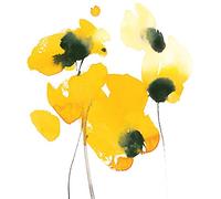 David Ross Papaver Nudicaule - Stampa su tela, 40 x 40 cm, in poliestere, multicolore, 40 x 40 cm