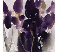 David Ross Siberian Iris - Stampa su tela, 40 x 40 cm, in poliestere, multicolore, 40 x 40 cm