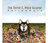 David S.Ware Balladware (CD) Album