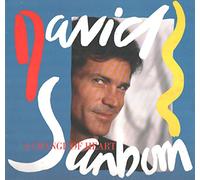 David Sanborn - A CHANGE OF HEART LP (VINYL) GERMAN WARNER BROS 1987
