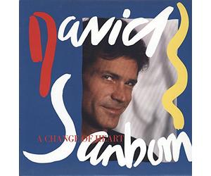 David Sanborn - A Change Of Heart - Warner Bros. Records - 925 479-1