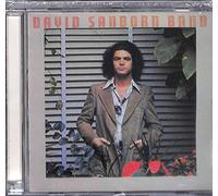 DAVID SANBORN - Promise Me the Moon