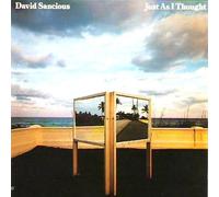David Sancious - Just As I Thought - Arista - AB 4247