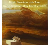 DAVID SANCIOUS - Transformation [the Speed of