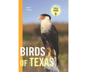 David Sarkozi Birds of Texas (Tascabile)