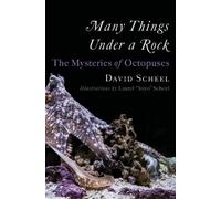 David Scheel Many Things Under a Rock (Copertina rigida)