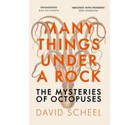 David Scheel Many Things Under a Rock (Tascabile)
