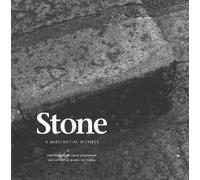 David Scheinbaum Stone (Copertina rigida)