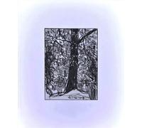 David Schoerner Woods (Tascabile)