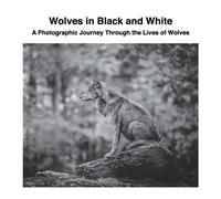 David Sechovicz Wolves in Black and White (Tascabile)