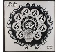 DAVID SINCLAIR - take my hand