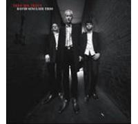 David Sinclair Trio Take Me There (CD) Album