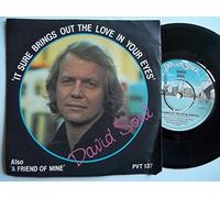 David Soul - DAVID SOUL It Sure Brings Out the Love in Your Eyes 7"