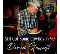 David Stewart Still Got Some Cowboy in Me (CD) Album