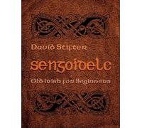 David Stifter Sengoidelc (Tascabile) Irish Studies