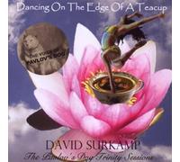 David Surkamp - Dancing On The Edge Of A... by David Surkamp (2007-08-07)