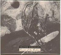 David Sylvain - Secrets of the Beehive