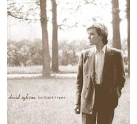 David Sylvian - alberi brillanti [SHM-CD] con tracciamento # Nuovo Giappone N...