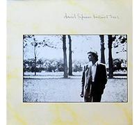 DAVID SYLVIAN - Brilliant Trees (12" Vinyl LP)(1984)(Virgin 206343)