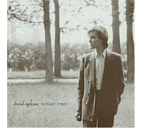 David Sylvian - Brilliant Trees
