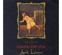 David Sylvian - David Sylvian - A Little Girl Dreams Of Taking The Veil - Virgin - 108 414, Virgin - 108 414-100
