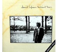 David Sylvian - David Sylvian - BRILLIANT TREES by David Sylvian (1984-10-21)