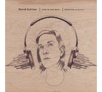 Vinile David Sylvian - Died In The Wool (Manafon Variations) (2 Lp)