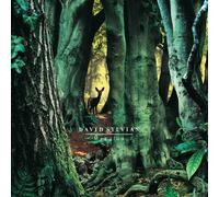 David Sylvian Manafon (180g Vinile 2xLP)