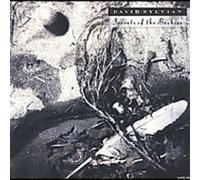 David Sylvian - Secrets of the Beehive