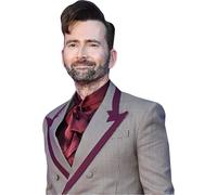 David Tennant (Gray and Red Suit) Half Body Buddy Cutout
