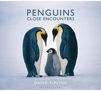David Tipling Penguins (Copertina rigida)