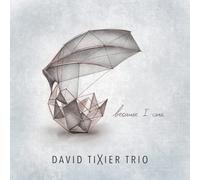 David Tixier Trio Feat. David Linx Because I Care (CD)