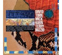 David Torn-Mick Karn-Terry - Polytown