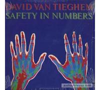 DAVID VAN TIEGHEM - safety in numbers LP