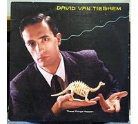 David Van Tieghem - These Things Happen