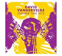 David Vandervelde Summer Time Hits (Vinyl LP)