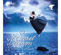 David Wahler Secret Dream (CD)