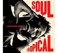 David Walters - Soul Tropical