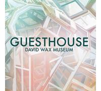 David Wax Museum GUESTHOUSE (Vinyl LP)
