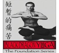 David Welek - Black Dragon Yoga: The Foundation Series