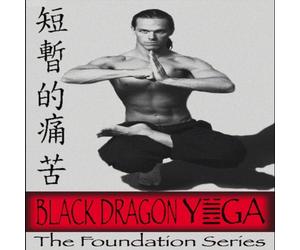 David Welek - Black Dragon Yoga: The Foundation Series