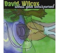 David Wilcox Underneath (CD) Album