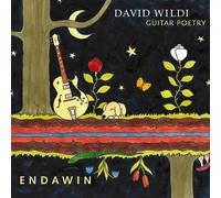 David Wildi - Endawin