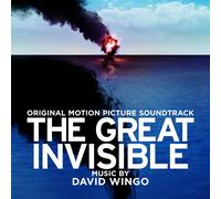 David Wingo The Great Invisible Soundtrack (CD)