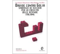 Davide contro Golia. Strategie di nicchia per la crescita delle aziende italiane