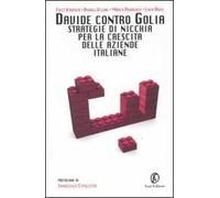 Davide contro Golia. Strategie di nicchia per la crescita delle aziende italiane