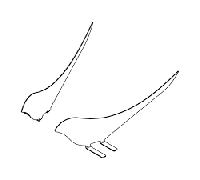 Davide Groppi Infinito/Flash Accessori Opzionali - Promo RONDINI PER FLASH