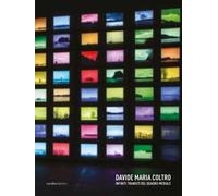 Davide Maria Coltro. Infiniti transiti del Quadro Mediale. Ediz. illustrata