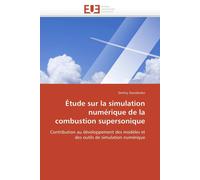 Davidenko-D Étude sur la simulation numérique de la combustion super (Tascabile)